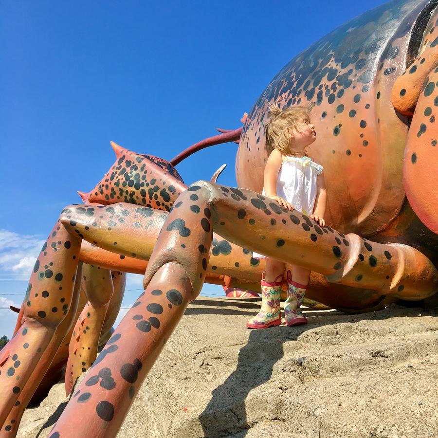 Le Griffon Acomodação com café da manhã Shediac Exterior foto